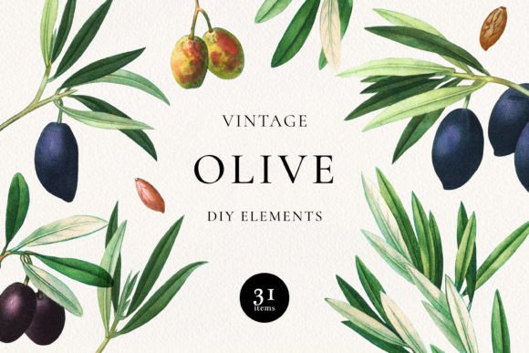 Download Vintage Olive DIY Elements - Olive Collection