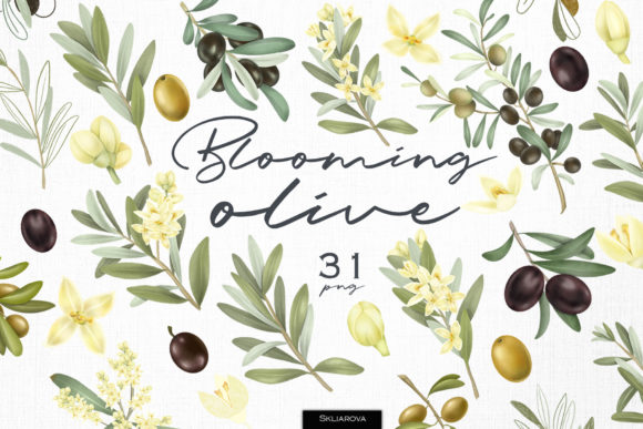 Download Blooming Olive Botanical Set - Olive Collection