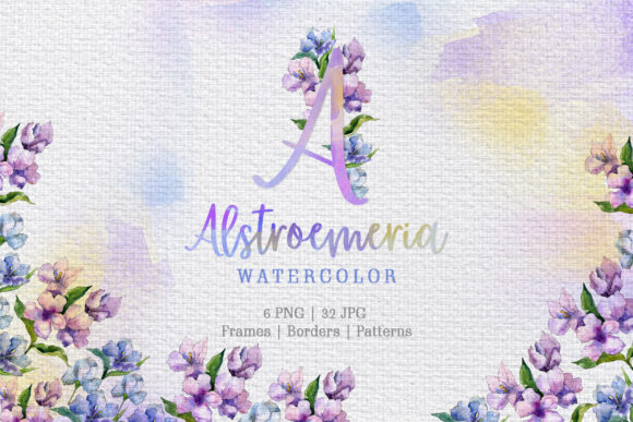 Download Alstroemeria Violet Watercolor - Premium Resources