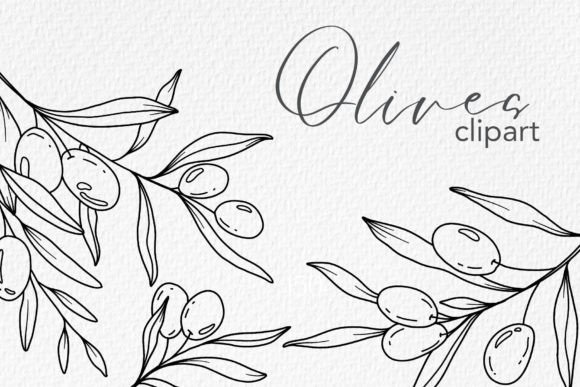 Download Olive Branches LINE ART. OLIVES CLIPART - Premium Resources