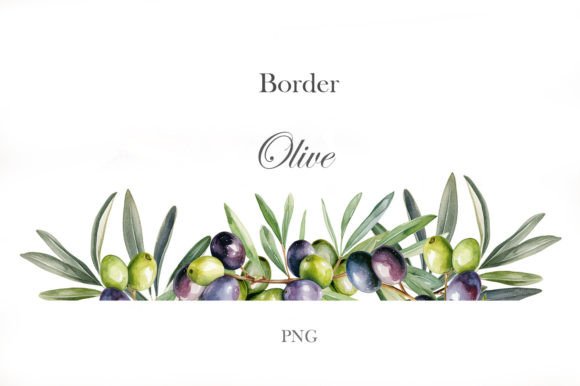 Download Olive Branches Border - Olive Collection